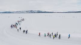 Frozen Lake Marathon