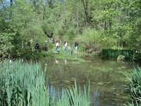 Wildflower Walk