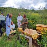 Bee Guardianship Workshop: May 25-26th, 2024