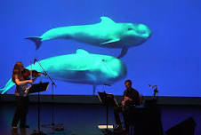 Listening and Looking (Out) for Whales through Art, Music, and Science