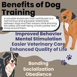 Puppy Socialization and Basic Obedience AND Beginner Obedience Classes