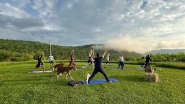 Goat Yoga on the Homestead