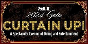 Curtain Up! - A Spectacular Evening of Dining and Star-Studded Broadway Ent