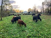 Farm Discovery/Tour Day