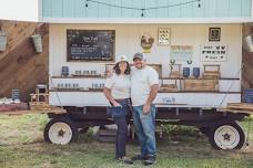 Wildberry Field Market