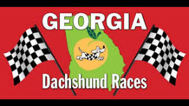 Georgia Dachshund Races