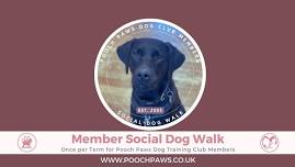 Members Only Social Dog Walk