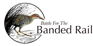 Planting working bee with Battle for the Banded Rail