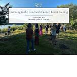 Listening to the Land: Guided Group Forest Bathing Walk