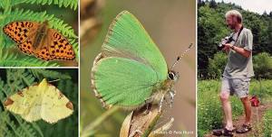 Butterflies of Devon - Evening Talk from Pete Hurst