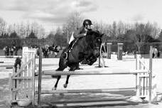 - SOLD OUT - WINTER SHOW JUMPING R.2