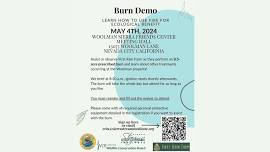 Burn Demo