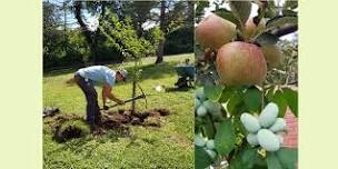 Bear Creek Organics Fruit Tree Planting Workshop