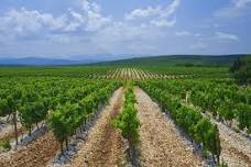 Wine Wanderlust, Herzegovinas Most Famous Wines Tour