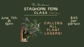 Staghorn Fern Class @ Carolina Home and Garden