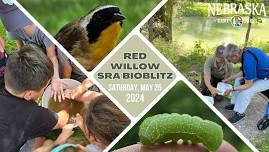 Red Willow State Recreation Area Bioblitz