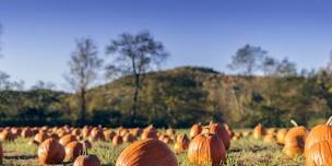 Pumpkin Festival at Cedar Circle Farm