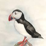 Puffin Watercolour Class with Wendy Bruce