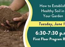 How to Establish Healthy Soil in Your Garden