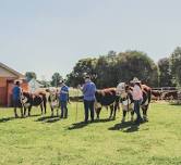 Cootamundra Show  — Visit Cootamundra