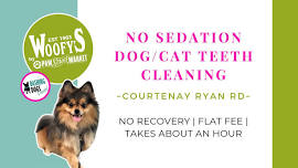 Dog/Cat Teeth Cleaning - Courtenay Ryan Rd