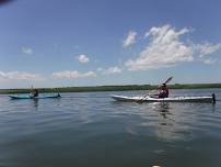 Kayak the Salt Marsh