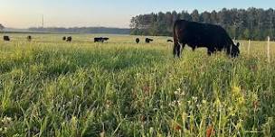 2024 Edisto REC Forages Field Day