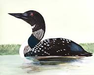 Painting with Patrice: Adirondack Loon