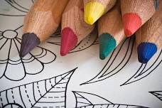 Coloring for Grownups