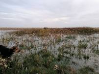 From Cleethorpes to the Wash: A talk on Coastal Environments with Third View Images