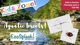 Kids Zone: Aquatic Insects! an EcoSplash program presented by Mainspring