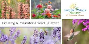 Creating A Pollinator-Friendly Garden - Dublin