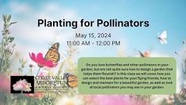 Planting for Pollinators