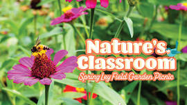 Nature’s Classroom: Ley Field Garden Picnic