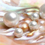 The Lustrous Beauty of Pearls - Zoom Lecture