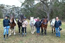 Women’s Equine Afternoon