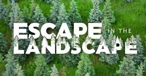 Escape in the Landscape: YMCA Program