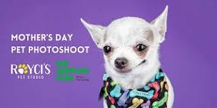 Mother's Day Pet Photoshoot At Pet Supplies Plus