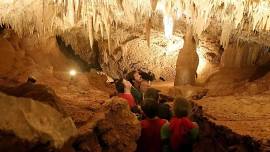 Wellington Caves Tour