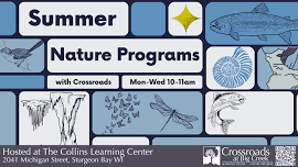 Summer Nature Programs – Butterflies