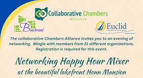 Networking Happy Hour Mixer