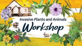 Invasive Plants and Animals Walks & Talks