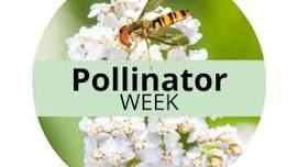 Pollinator Week: Birds & Bees Walkabout w/Rose