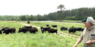 Twilight Pasture Walk at Happy Farmer Farm