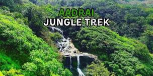 Aadrai Jungle Trek from Mumbai and Pune