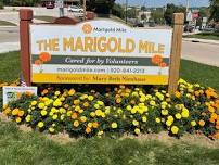 Planting on The Marigold Mile