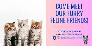 Cats & Coffee!! - Adoption Event @ Fika Fika Coffee/H-Mart shopping center