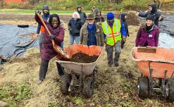 Grow Food Everywhere: DIY for Wellbeing and Joy