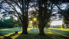 Kopua Matariki planting weekend with the Cistercian Associates