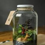 Family Terrarium Making Workshop